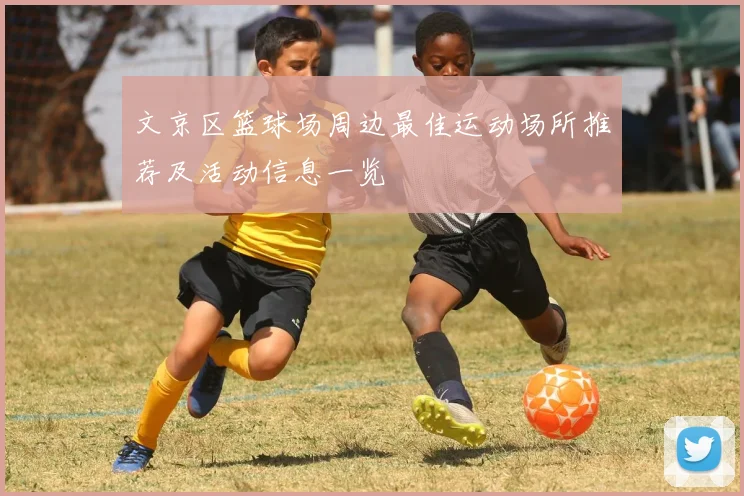 文京区篮球场周边最佳运动场所推荐及活动信息一览