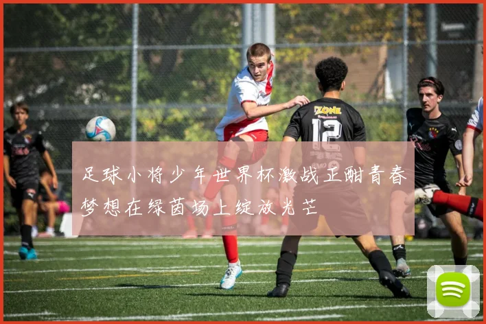 足球小将少年世界杯激战正酣青春梦想在绿茵场上绽放光芒