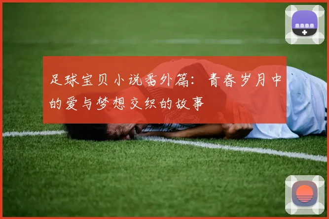 足球宝贝小说番外篇：青春岁月中的爱与梦想交织的故事