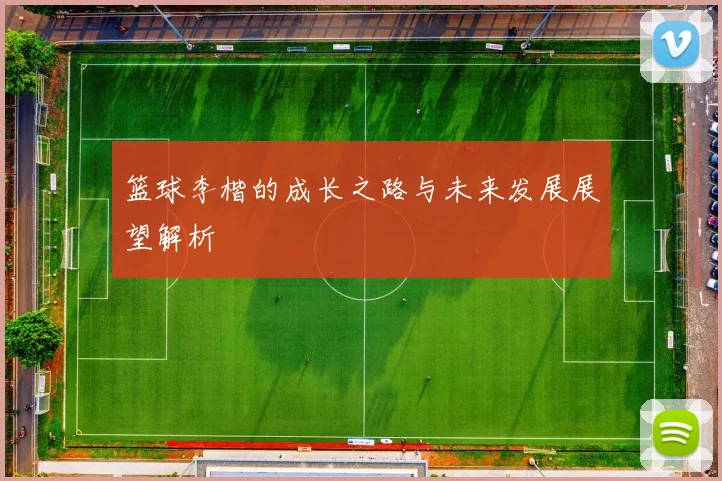 篮球李楷的成长之路与未来发展展望解析