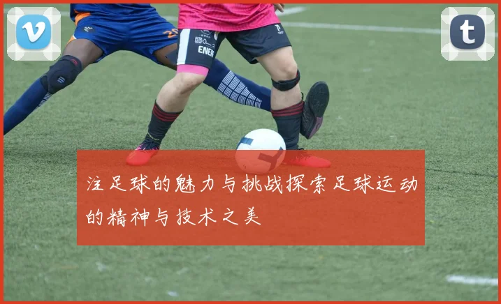 注足球的魅力与挑战探索足球运动的精神与技术之美